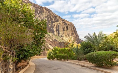 Private Overnight Tour to Ma'in Waterfalls and Hot Springs from Amman