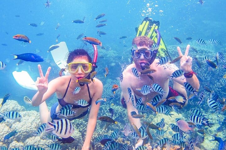 Snorkeling Day Trip to White Island & Ras Mohammed with VIP Boat 7