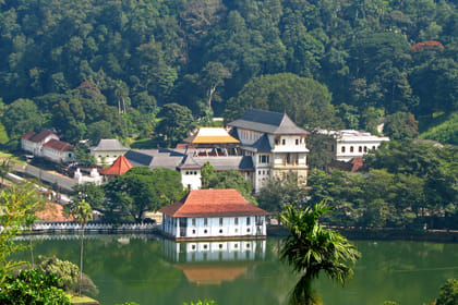 One Day Experience in Kandy (German & English)
