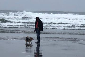 Vancouver to Nanaimo, Ucluelet, Tofino 2 Days Harbour City Tour Private