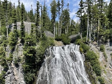 Guided Day Tour of Mt. Rainier National Park from Bellevue