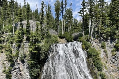 Explore Mt. Rainier National Park with a Local Guide