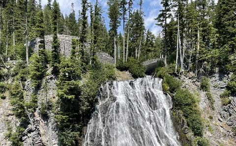 Guided Day Tour of Mt. Rainier National Park from Bellevue