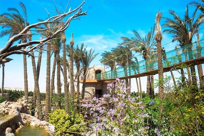 Hurghada Grand Aquarium Trip
