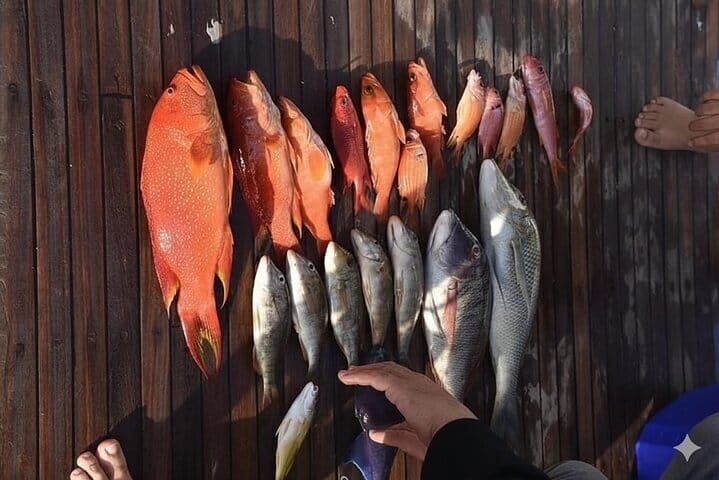 Private Boat , Fishing & Snorkeling Full Day & Lunch – Hurghada