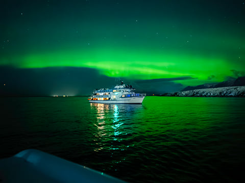 Golden Circle & Northern Lights by Boat Combo Tour, photo 7