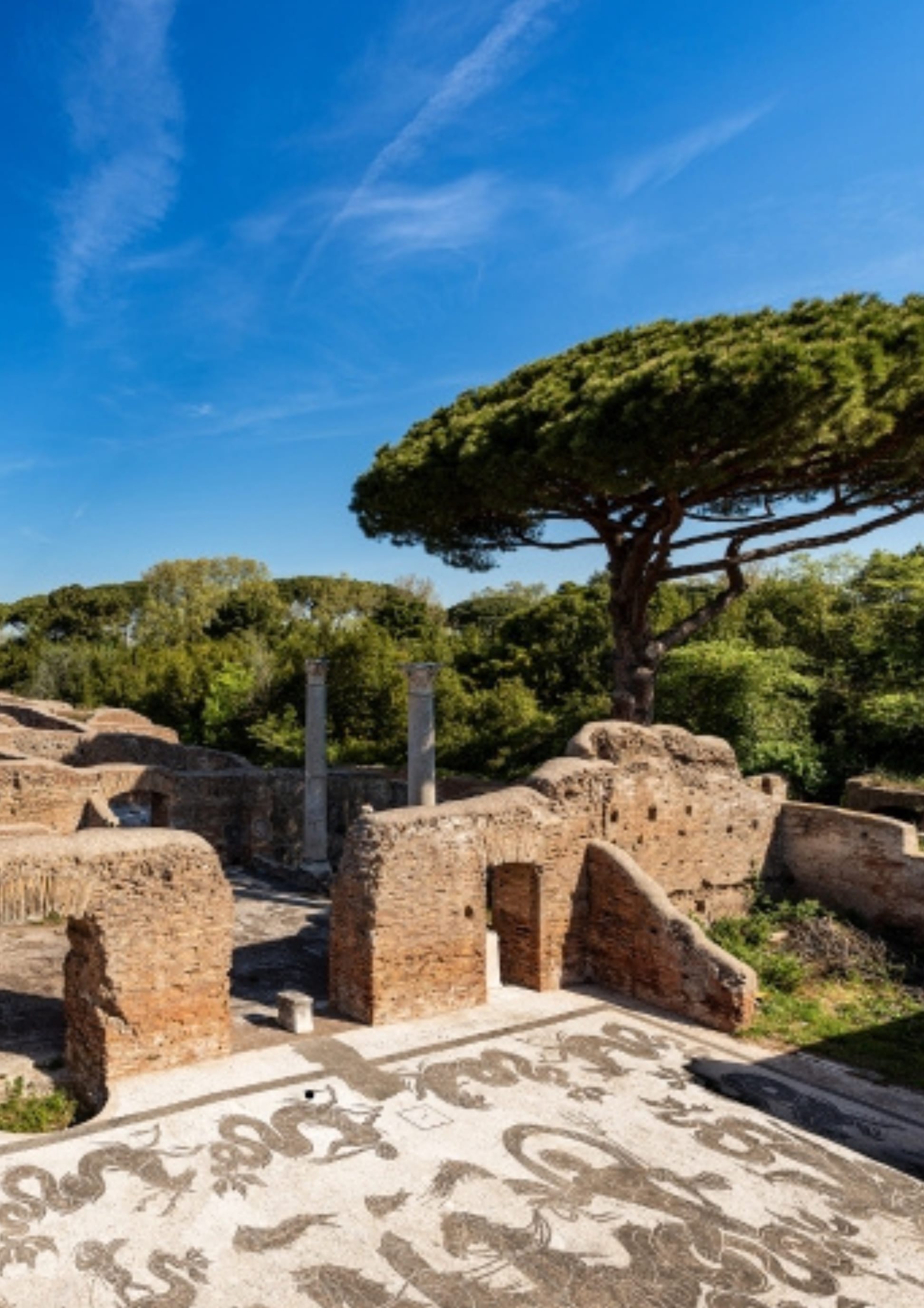 Admire the black-and-white mosaic of Neptune, where leisure and myth once met in public baths.