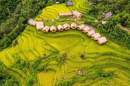 Discover Ha Giang: Hoang Su Phi Adventure and Cultural Experience