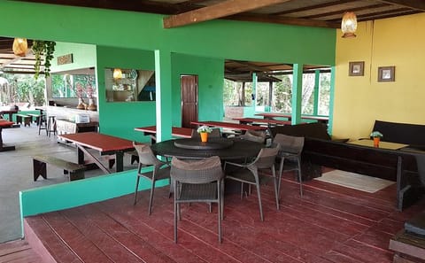 Four-Day Amazon Jungle Adventure from Manaus