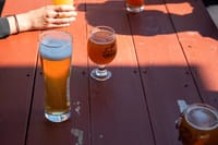 Nashville Combo Tour - Murals, Brewery, and History! 6