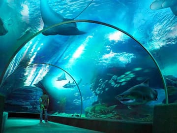 Private Shore Excursion: Amazing Phuket Island Guided Tour