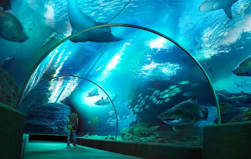 SEA LIFE Ocean World & Madame Tussauds Wax Museum Combo Ticket