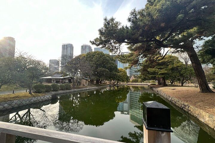 From Shimbashi to Hama Rikyu Gardens Walking Tour