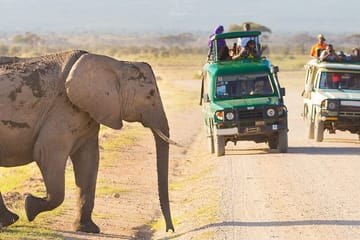 3-Day Luxury Private Safari in Masai Mara, Kenya