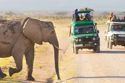 3-Day Masai Mara Luxury Private Safari on 4 X 4 Land Cruiser