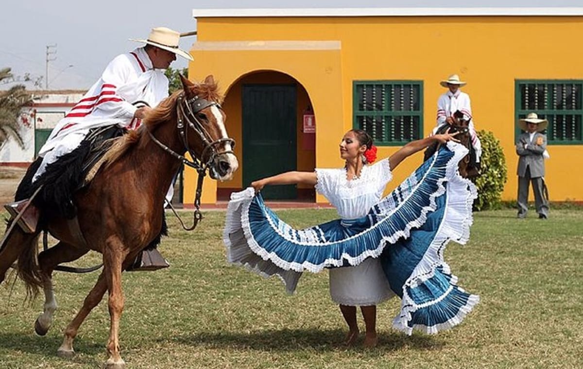Peruvian Paso Horse & Marinera with lunch in Trujillo