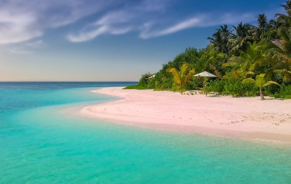Professional Photo Shoot Experience in Barbados