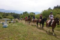 Alanya horse Club