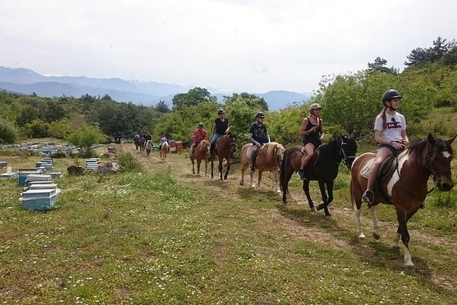 Alanya horse Club