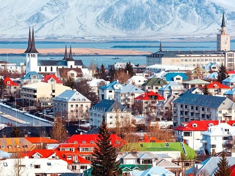 4 Hours Private Guided Tour in Reykjavík, photo 5