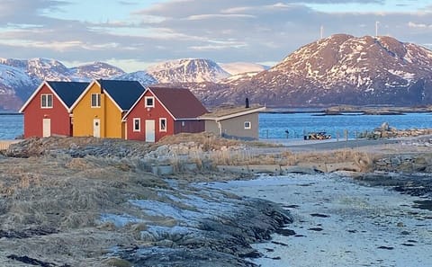 Arctic Fjords Adventure Tour in Ersfjordbotn, Tromsø