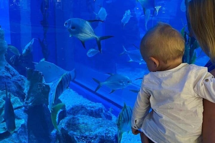 Dubai Aquarium + underwater Zoo & Penguin Cove