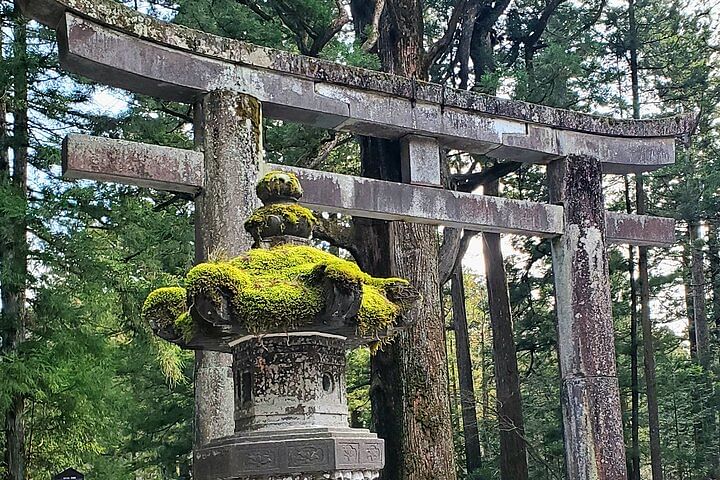 Full Day Private Nature Tour in Nikko Japan with English Guide