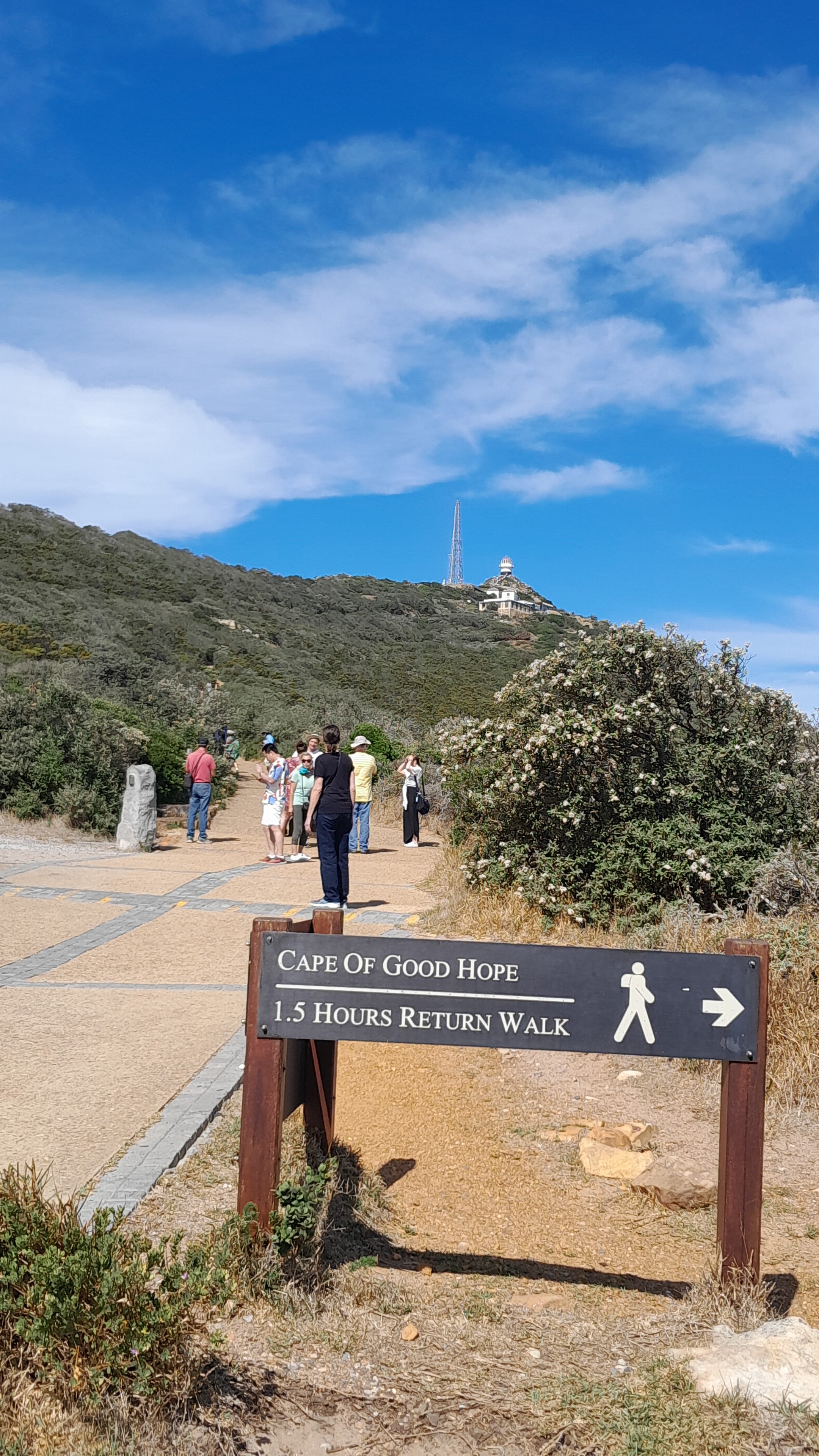 Half day Penguins boulders beach and cape point small Group tour.