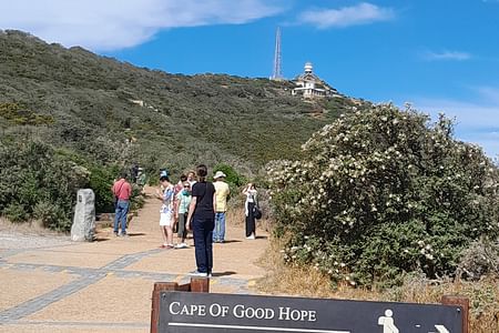 Half day Penguins boulders  beach and cape point small Group tour.
