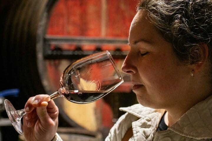 DOURO VALLEY & AMARANTE: Scenic or Wine Experience Private Tour