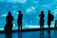 Alanya: Antalya Aquarium Ticket With Optional Transfer 2