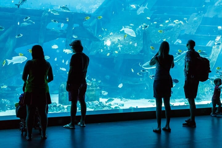 Alanya: Antalya Aquarium Ticket With Optional Transfer 2