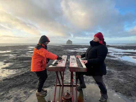 Penisola Reykjanes