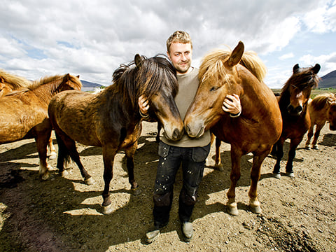 Silfra Snorkeling - with underwater photos & Horseback riding, photo 15