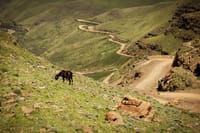 Optional Durban tour
