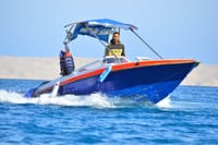Private Speed Boat to the dolphin house Hurghada