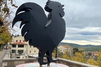 Wine Tastings and Visit to 3 Cellars in Chianti with Lunch&Transfer 5