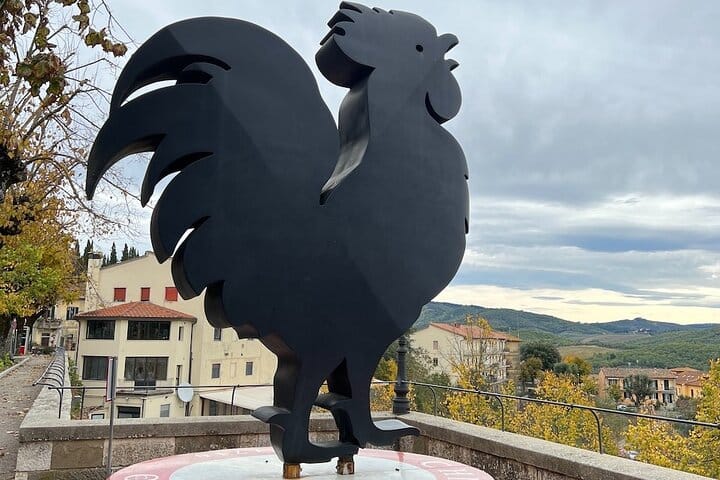 Wine Tastings and Visit to 3 Cellars in Chianti with Lunch&Transfer 5