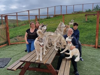 Husky Petting in Akureyri , photo 13
