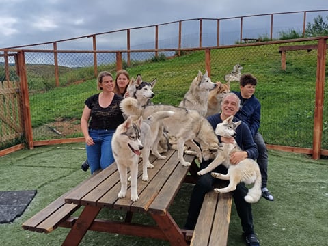 Husky Petting in Akureyri , photo 13