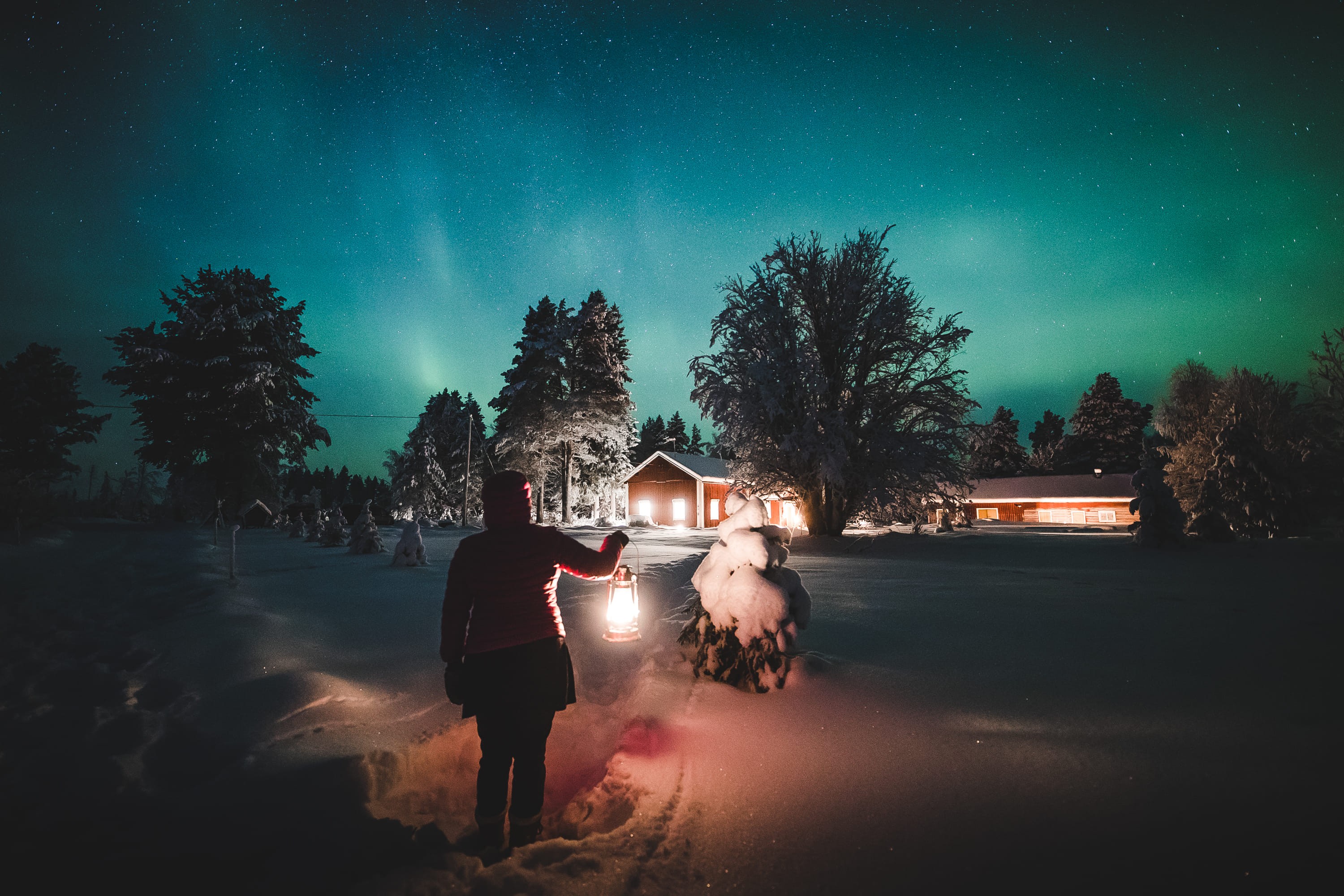 A guest watching the Northern Lights in Rovaniemi during a private Lapland Aurora Experience