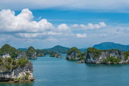 Halong Bay Luxury Cruise & Scenic Seaplane Adventure