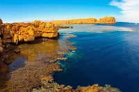 Ras Mohamed National Park Half Day Tour by Bus In Sharm El Sheikh 5