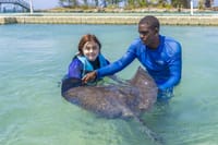 Dolphin Royal Swim at Montego Bay 10