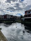Secrets of Bydgoszcz Self-Guided Exploration Game Tour 8