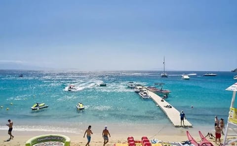 Beach Escape and Mykonos Town Exploration for Cruise Passengers