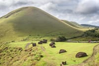 Puna Pau