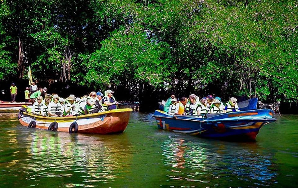 Madu River Boat Safari Tour in Balapitiya, Sri Lanka
