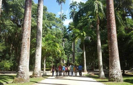 Botanical Garden and Tijuca Rainforest Jeep Tour