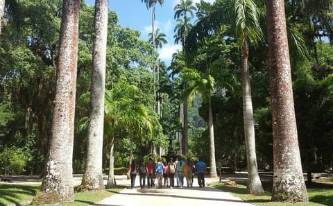 Botanical Garden and Tijuca Rainforest Jeep Tour in Rio